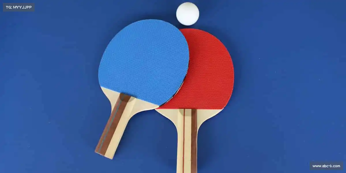 南宫NG28🏐排球扬起,青春飞扬!和我们一起,感受运动的无限活力~